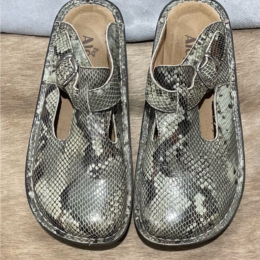 Alegria clogs